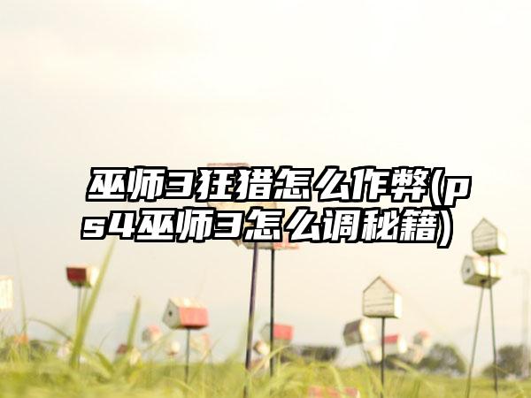 巫师3狂猎怎么作弊(ps4巫师3怎么调秘籍)