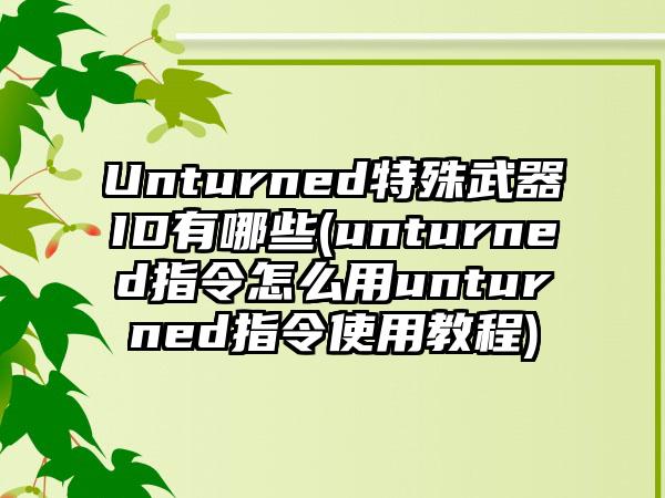 Unturned特殊武器ID有哪些(unturned指令怎么用unturned指令使用教程)