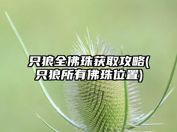 只狼全佛珠获取攻略(只狼所有佛珠位置)