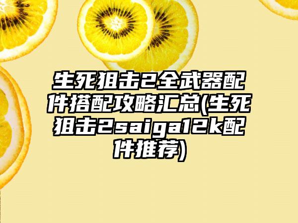 生死狙击2全武器配件搭配攻略汇总(生死狙击2saiga12k配件推荐)