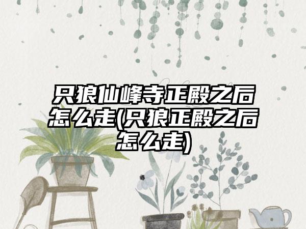 只狼仙峰寺正殿之后怎么走(只狼正殿之后怎么走)