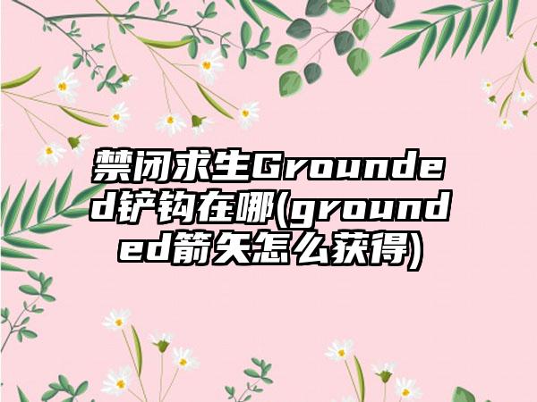 禁闭求生Grounded铲钩在哪(grounded箭矢怎么获得)
