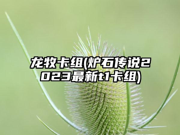 龙牧卡组(炉石传说2023最新t1卡组)