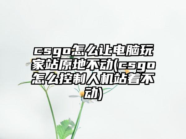 csgo怎么让电脑玩家站原地不动(csgo怎么控制人机站着不动)