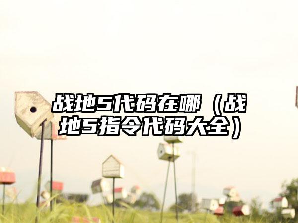 战地5代码在哪（战地5指令代码大全）