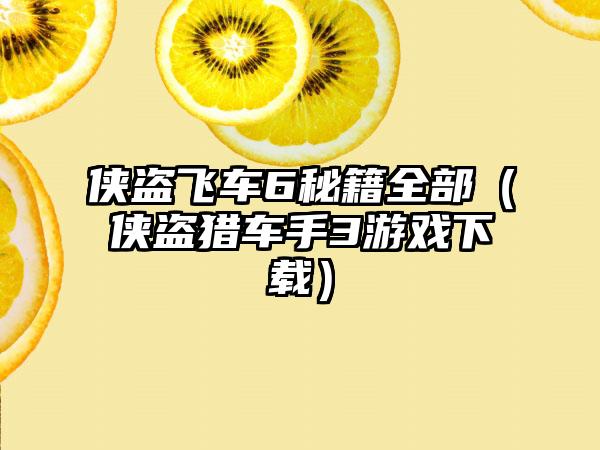 侠盗飞车6秘籍全部（侠盗猎车手3游戏下载）