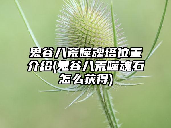 鬼谷八荒噬魂塔位置介绍(鬼谷八荒噬魂石怎么获得)