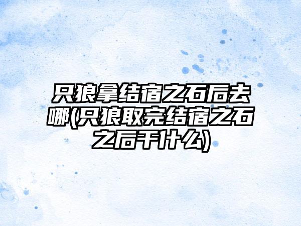 只狼拿结宿之石后去哪(只狼取完结宿之石之后干什么)