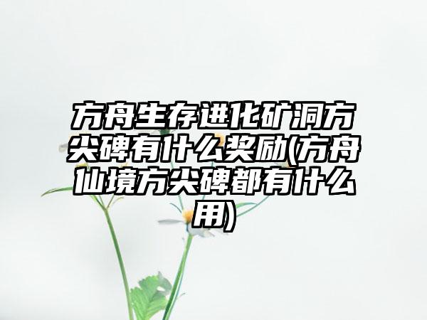 方舟生存进化矿洞方尖碑有什么奖励(方舟仙境方尖碑都有什么用)