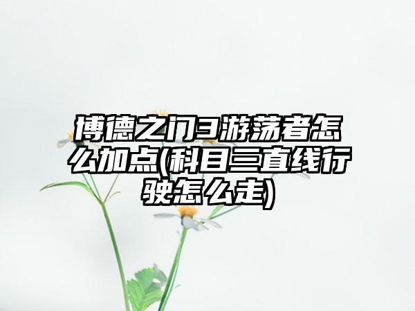 博德之门3游荡者怎么加点(科目三直线行驶怎么走)