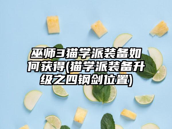巫师3猫学派装备如何获得(猫学派装备升级之四钢剑位置)