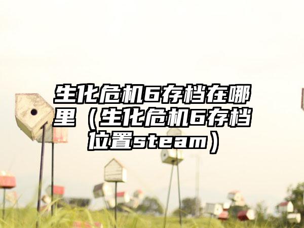 生化危机6存档在哪里（生化危机6存档位置steam）