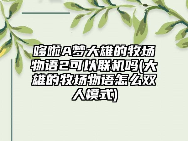 哆啦A梦大雄的牧场物语2可以联机吗(大雄的牧场物语怎么双人模式)