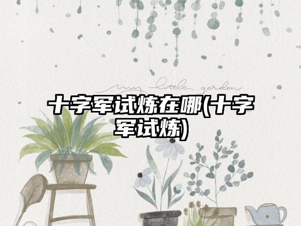 十字军试炼在哪(十字军试炼)