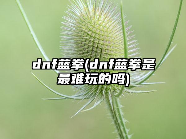 dnf蓝拳(dnf蓝拳是最难玩的吗)