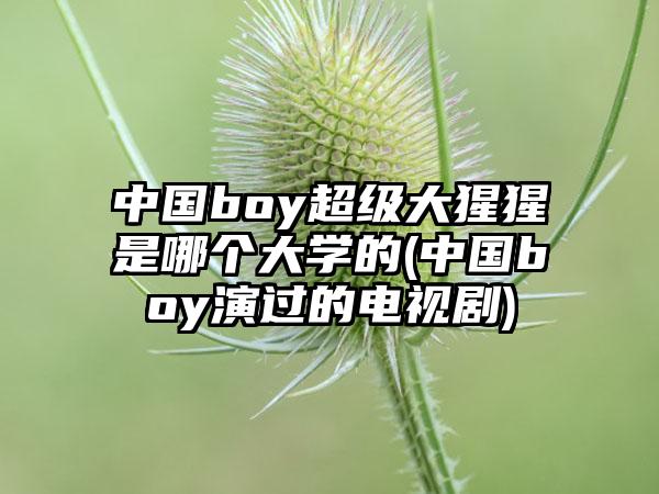 中国boy超级大猩猩是哪个大学的(中国boy演过的电视剧)