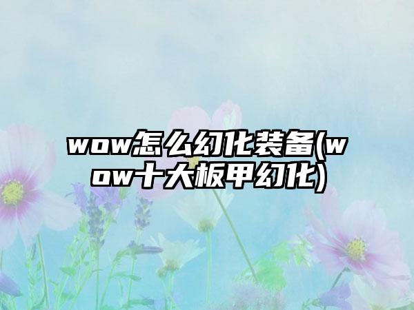 wow怎么幻化装备(wow十大板甲幻化)