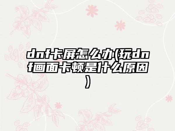 dnf卡屏怎么办(玩dnf画面卡顿是什么原因)