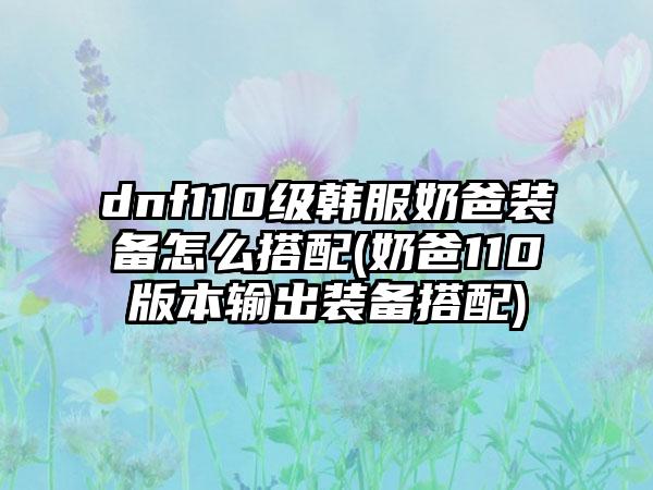dnf110级韩服奶爸装备怎么搭配(奶爸110版本输出装备搭配)