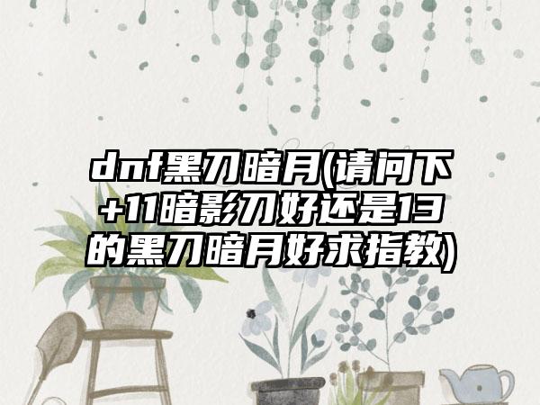 dnf黑刀暗月(请问下+11暗影刀好还是13的黑刀暗月好求指教)