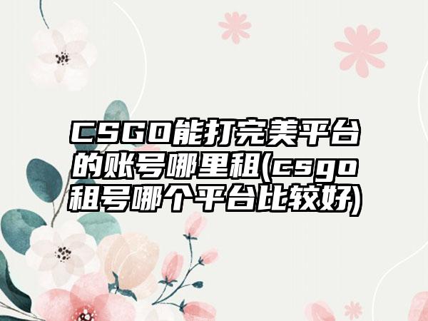CSGO能打完美平台的账号哪里租(csgo租号哪个平台比较好)