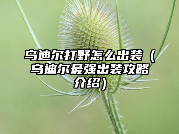 乌迪尔打野怎么出装（乌迪尔最强出装攻略介绍）