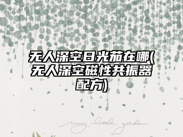 无人深空日光茄在哪(无人深空磁性共振器配方)