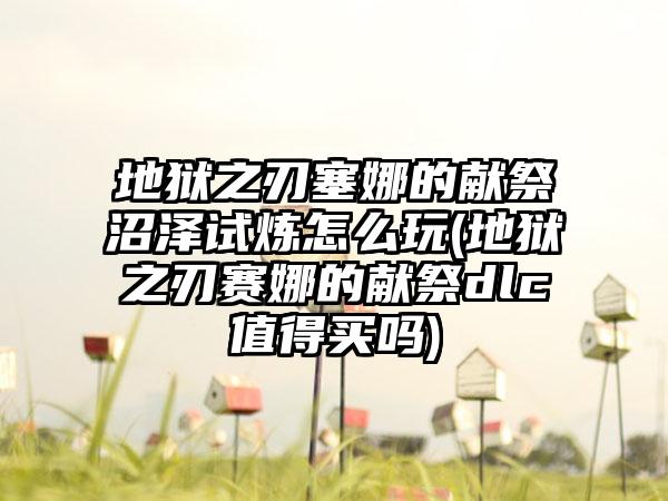 地狱之刃塞娜的献祭沼泽试炼怎么玩(地狱之刃赛娜的献祭dlc值得买吗)