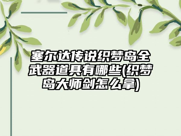 塞尔达传说织梦岛全武器道具有哪些(织梦岛大师剑怎么拿)