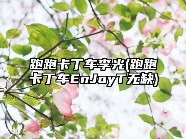 跑跑卡丁车李光(跑跑卡丁车EnJoyT无缺)