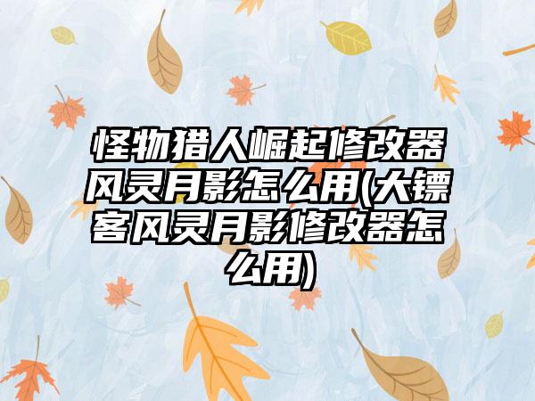 怪物猎人崛起修改器风灵月影怎么用(大镖客风灵月影修改器怎么用)