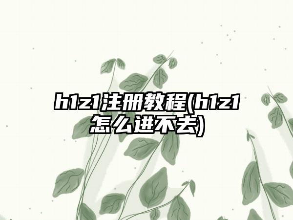 h1z1注册教程(h1z1怎么进不去)