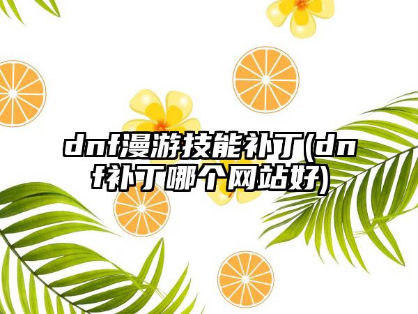 dnf漫游技能补丁(dnf补丁哪个网站好)