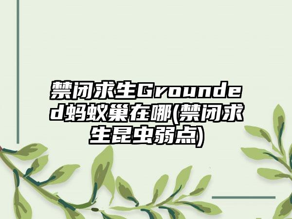 禁闭求生Grounded蚂蚁巢在哪(禁闭求生昆虫弱点)