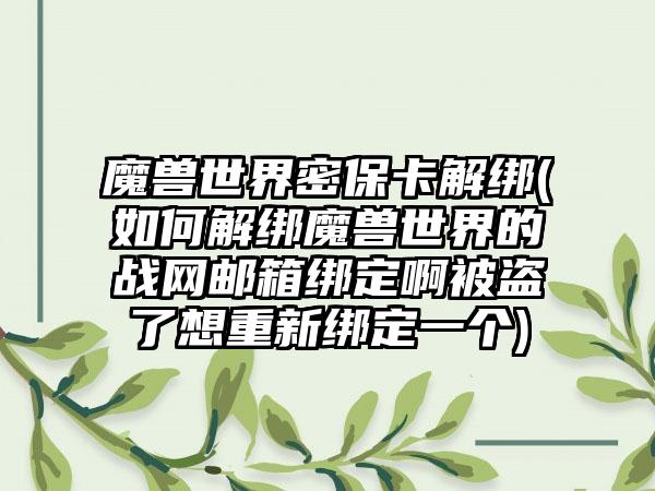 魔兽世界密保卡解绑(如何解绑魔兽世界的战网邮箱绑定啊被盗了想重新绑定一个)