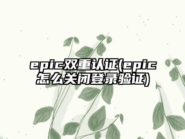 epic双重认证(epic怎么关闭登录验证)