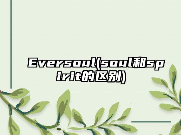 Eversoul(soul和spirit的区别)
