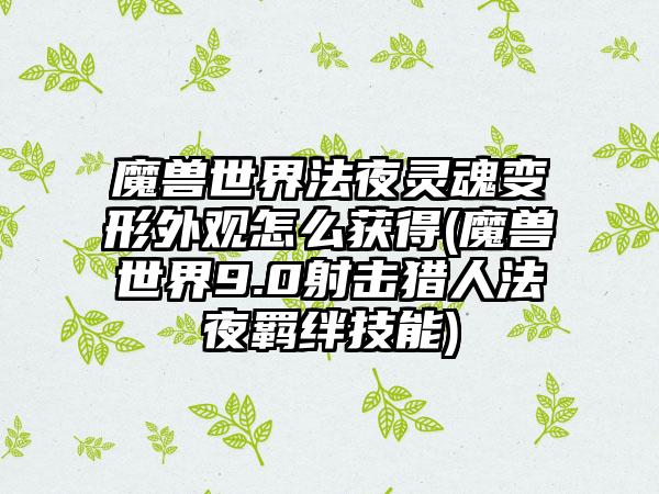 魔兽世界法夜灵魂变形外观怎么获得(魔兽世界9.0射击猎人法夜羁绊技能)