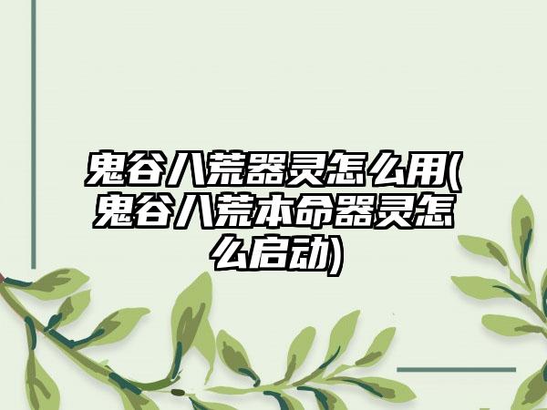 鬼谷八荒器灵怎么用(鬼谷八荒本命器灵怎么启动)