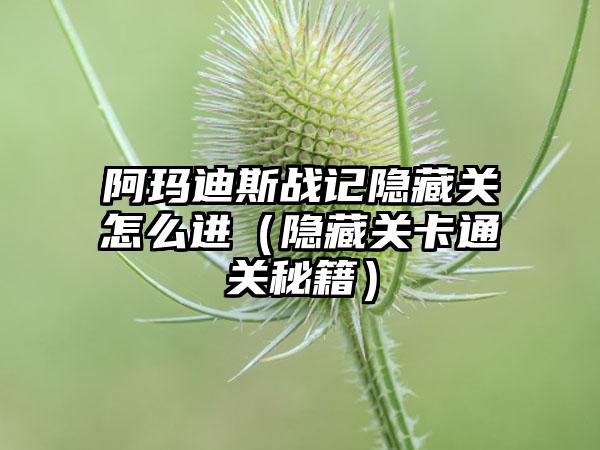 阿玛迪斯战记隐藏关怎么进（隐藏关卡通关秘籍）