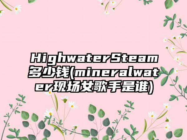 HighwaterSteam多少钱(mineralwater现场女歌手是谁)
