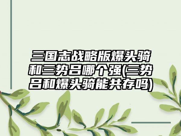 三国志战略版爆头骑和三势吕哪个强(三势吕和爆头骑能共存吗)