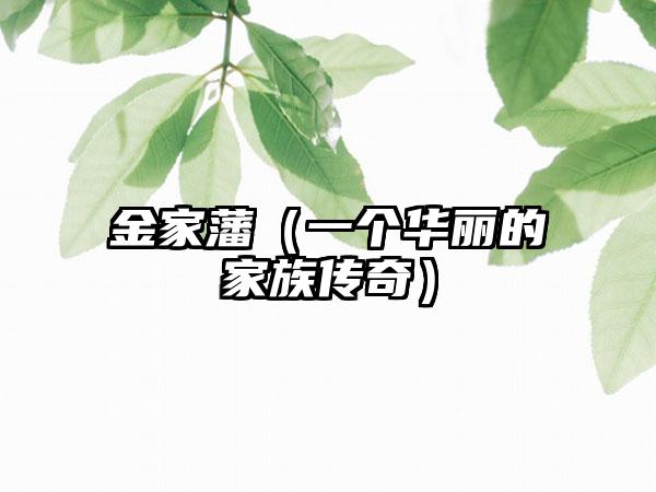 金家藩（一个华丽的家族传奇）