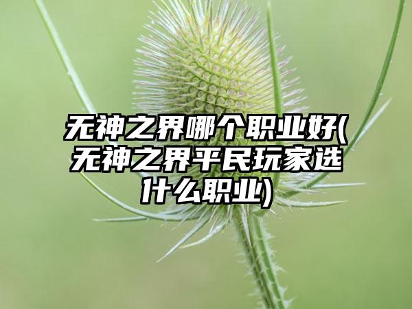 无神之界哪个职业好(无神之界平民玩家选什么职业)