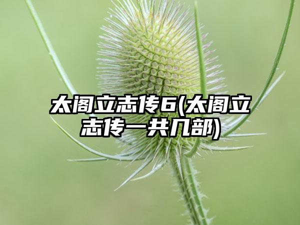 太阁立志传6(太阁立志传一共几部)