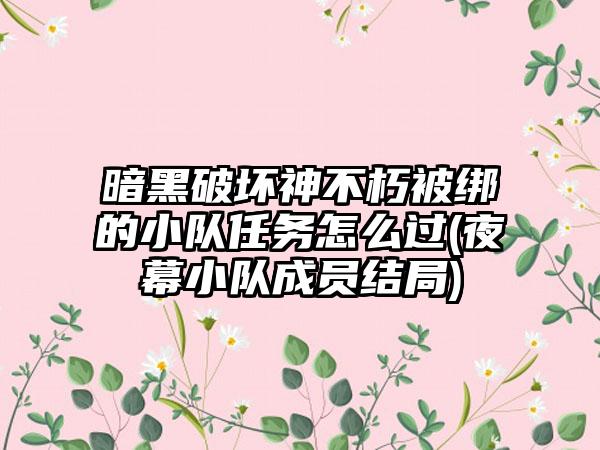 暗黑破坏神不朽被绑的小队任务怎么过(夜幕小队成员结局)