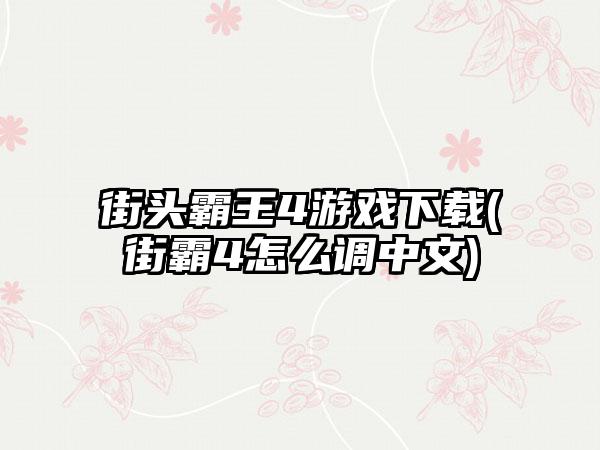 街头霸王4游戏下载(街霸4怎么调中文)