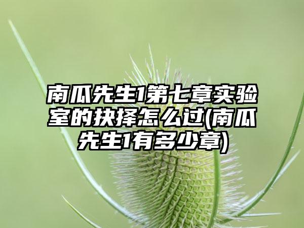 南瓜先生1第七章实验室的抉择怎么过(南瓜先生1有多少章)