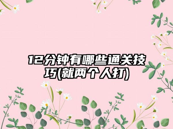 12分钟有哪些通关技巧(就两个人打)