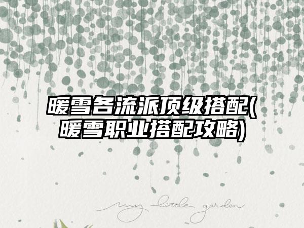 暖雪各流派顶级搭配(暖雪职业搭配攻略)